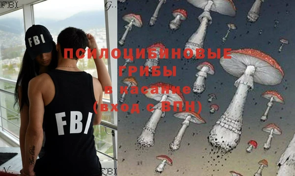 винт Арсеньев